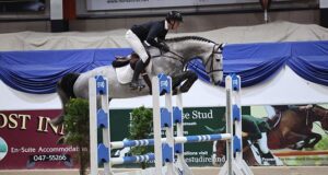 Sport Horse Ireland hosts 2025 stallion selections in Cavan