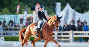 Here they are! New Zealand’s Horses of the Year