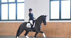 DSP adds new dimension to its riding horse marketing