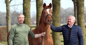 Valerie: The mare makes all the difference