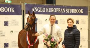 AES Netherlands successful Spring Stallion Grading