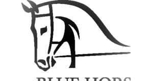 Blue Hors pauses competition participation for ethics reasons