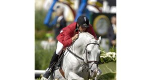 A total of 31 quality new stallions approved by SBS