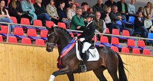 Champion Oldenburg stallion becomes price topper!