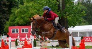 A minor revolution during Polish Championship for Young Horses