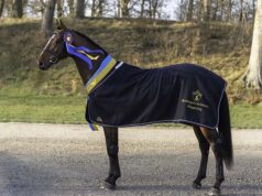 Aganix d’Amour and Majestic Justice top SWB stallions