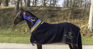 Aganix d’Amour and Majestic Justice top SWB stallions