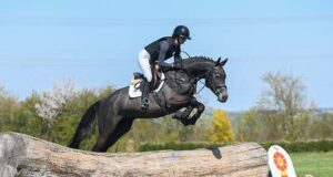 Chac-Boom wins top price at the DSP Eventers Auction