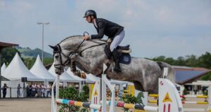 Baden-Württemberg Horse Breeders’ state championship