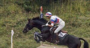 Evolution or revolution: Anglo Arabs continue to be prescient