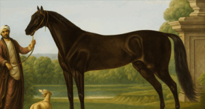 Thoroughbred blood and the modern sport horse: Part 1