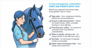 Equine First Aid: What every horse owner needs to know!