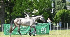 Białka hosts Małopolska national breeding championship