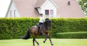 Lovisa Wessblad developing athletes: “Let horses be horses!”