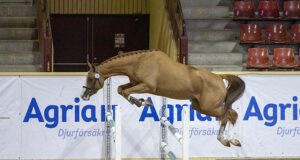 Maja Bogren: “I love the journey