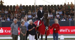 Brilliant success for Danish Warmblood dressage youngsters