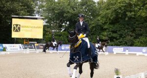 Hanoverian champions for 2025 crowned in Elmlohe