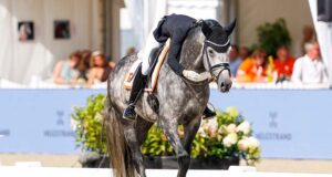 Previous champions light up the WBCYH dressage arena in Verden
