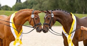 Sportiness in focus during the Herwart von der Decken show