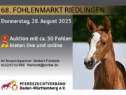 Riedlingen Foal Auction – August 28, 2025 – with top collection
