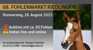 Riedlingen Foal Auction – August 28, 2025 – with top collection