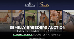 Semilly Auction: Last chance to bid on promising offspring