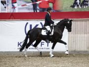 DWB celebrates excellence at 2025 KRAFFT DWB Elite Show