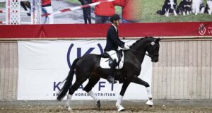 DWB celebrates excellence at 2025 KRAFFT DWB Elite Show