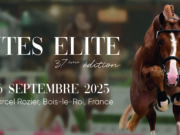 FENCES auction – this week