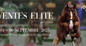 FENCES auction – this week