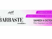 FENCES unique Barbaste Auction