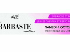 FENCES unique Barbaste Auction