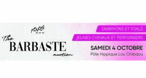 FENCES unique Barbaste Auction