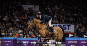 Full brothers and sisters in jumping: Reality or illusion?
