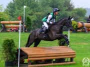 New format for Polish Young Eventing Horse Championships