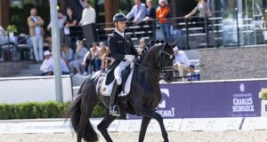 European Europeans! The merging of Warmblood ‘breeds’