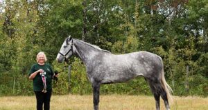 CWHBA breeder profile: Hard Valley Warmbloods