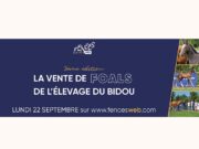 Élevage du Bidou Foal Auction – 3rd edition