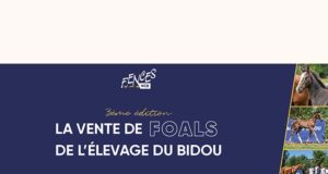 Élevage du Bidou Foal Auction – 3rd edition