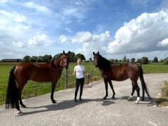 Vinea: Being a one-mare breeder can be a fabulous success story