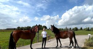Vinea: Being a one-mare breeder can be a fabulous success story