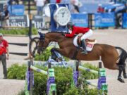 KWPN analysis: How many performance mares are there?