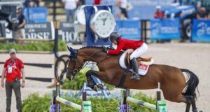 KWPN analysis: How many performance mares are there?