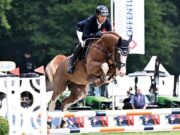 Historic 46th PSI Auction includes ponies for the first time