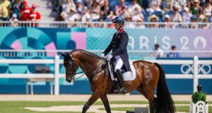 How important are the WBFSH rankings to breeding decisions?