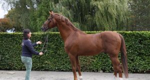 Adeline Lefèvre: Maintaining the legacy of her father, Raymond