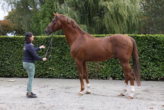 Adeline Lefèvre: Maintaining the legacy of her father, Raymond