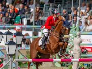 KWPN Predicates make the quality of a mare measureable