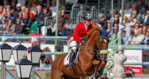 KWPN Predicates make the quality of a mare measureable