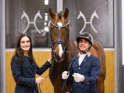 Top auction price for Hanoverian Lampo di Fonteaubeti